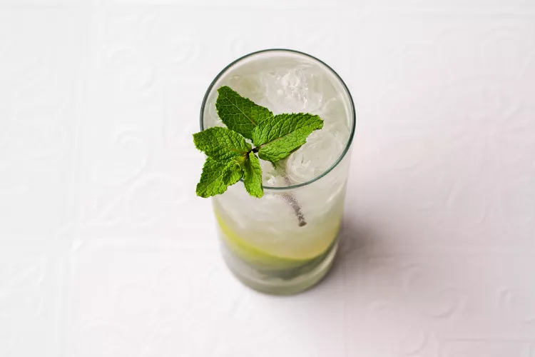 Mojito Recipe
