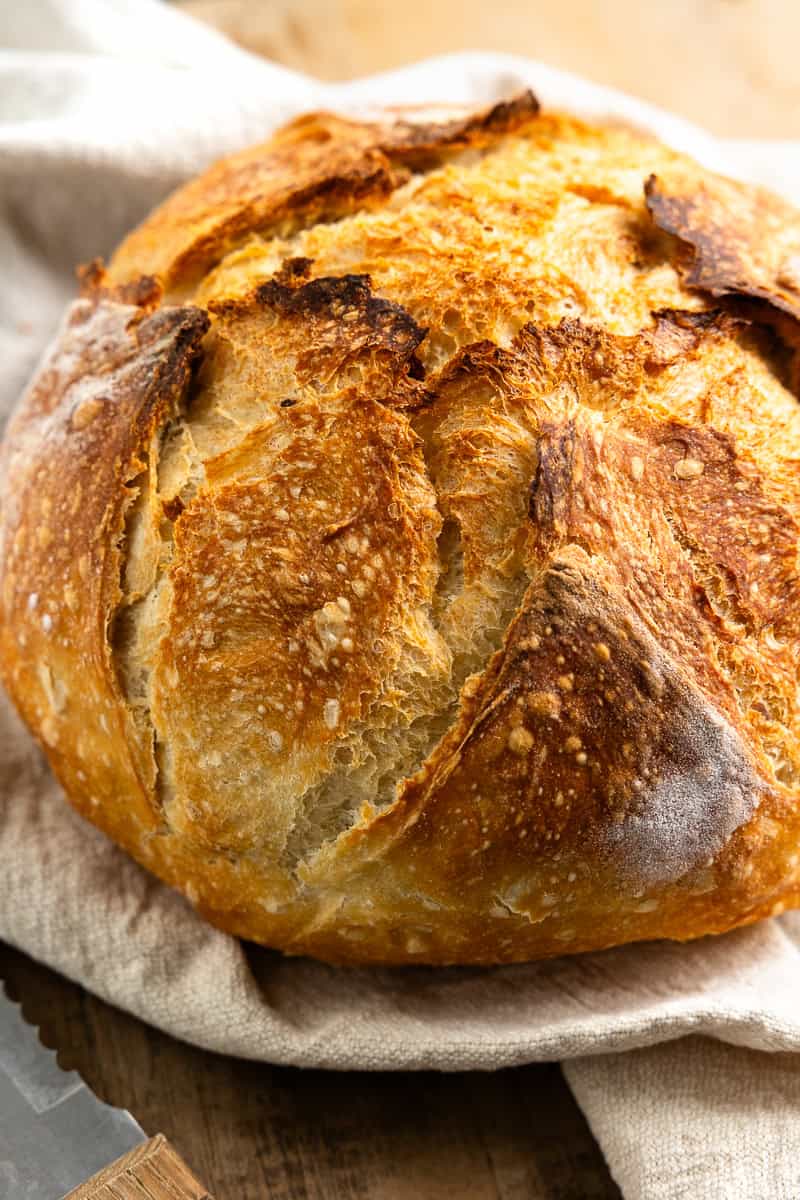 No Knead Bread Recipe